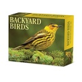 Cover: Backyard Birds 2026 Box Calendar - Wlcp