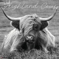 Cover: Highland Cows (B&w) 2026 Wall Calendar - Wlcp