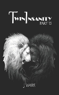 Enlarge image Cover: TwinInsanity Part 13 - Jware