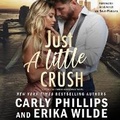Cover: Just a Little Crush - Cp Publishing LLC