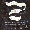 Cover: Thinning the Veil - Christianaudio