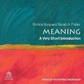 Cover: Meaning - Tantor Audio