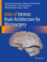 Enlarge image Cover: Atlas of Intrinsic Brain Architecture for Microsurgery - Springer