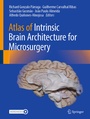 Cover: Atlas of Intrinsic Brain Architecture for Microsurgery - Springer