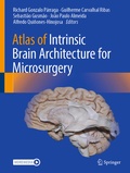 Abbildung von: Atlas of Intrinsic Brain Architecture for Microsurgery - Springer