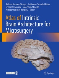 Abbildung von: Atlas of Intrinsic Brain Architecture for Microsurgery - Springer
