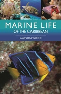 Cover: Marine Life of the Caribbean - Bloomsbury Wildlife