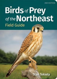 Bild: Birds of Prey of the Northeast Field Guide - Adventure Publications