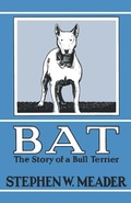 Cover: BAT, The Story of a Bull Terrier - Southern Skies Publishing, LLC
