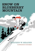 Cover: Snow On Blueberry Mountain - Southern Skies Publishing, LLC
