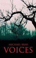 Cover: Voices - Megalodon Press