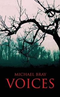 Enlarge image Cover: Voices - Megalodon Press