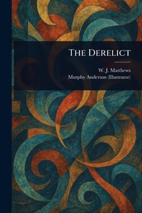 Enlarge image Cover: The Derelict - Anson Street Press