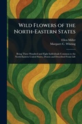 Cover: Wild Flowers of the North-Eastern States - Anson Street Press