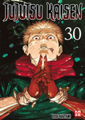 Cover: Jujutsu Kaisen - Band 30 (Finale) - Pegasus Manga