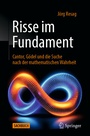Bild: Risse im Fundament - Springer