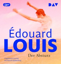Abbildung von: Der Absturz - Der Audio Verlag