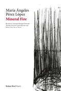 Cover: Mineral Fire - Vaso Roto Ediciones S.L