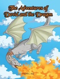 Cover: The Adventures of David and the Dragon - Christian Faith Publishing