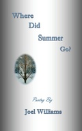 Cover: Where Did Summer Go? - Vabella Publishing