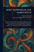 Cover: Mary Schweidler, the Amber Witch - Anson Street Press