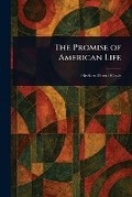 Cover: The Promise of American Life - Anson Street Press