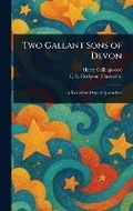 Cover: Two Gallant Sons of Devon - Anson Street Press