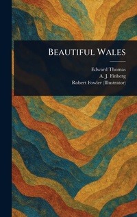 Abbildung von: Beautiful Wales - Anson Street Press