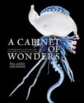 Cover: A Cabinet of Wonders - Fontanka