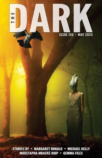 Enlarge image Cover: The Dark Issue 120 - Sean Wallace