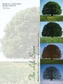 Cover: The Life Span - Pearson
