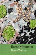 Cover: Burnt Mountain - University of Iowa Press