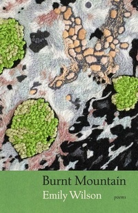 Enlarge image Cover: Burnt Mountain - University of Iowa Press