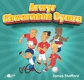 Cover: Arwyr Chwaraeon Cymru - Y Lolfa