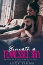 Cover: Beneath a Tennessee Sky - Dark Shadow Publishing