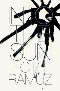 Enlarge image Cover: Into the Sun - NEW DIRECTIONS