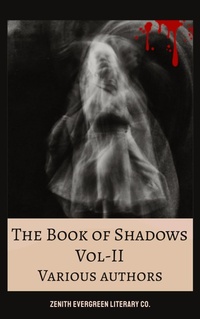 Enlarge image Cover: The Book of Shadows Vol 2 - Zenith Evergreen Literary Co.