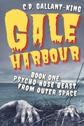 Cover: Psycho Hose Beast From Outer Space - Stories I Found in the Closet