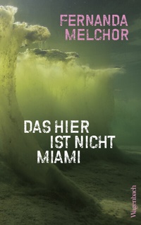 Abbildung von: Das hier ist nicht Miami - Wagenbach