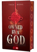 Cover: Owned by a God - Novel Arc Verlag