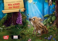 Abbildung von: Wie schläft der Wald? Kamishibai Bildkartenset - Don Bosco Medien