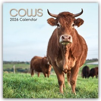Abbildung von: Cows - Kühe 2026 - 16-Monatskalender - Brown Trout-Auslieferer Flechsig