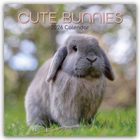 Abbildung von: Cute Bunnies - Niedliche Kaninchen 2026 - 16-Monatskalender - Brown Trout-Auslieferer Flechsig