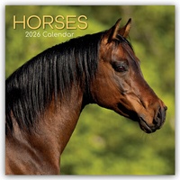 Abbildung von: Horses - Pferde 2026 - 16-Monatskalender - Brown Trout-Auslieferer Flechsig