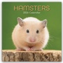 Bild: Hamsters - Hamster 2026 - 16-Monatskalender - Brown Trout-Auslieferer Flechsig
