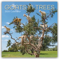 Abbildung von: Goats in Trees - Ziegen auf Bäumen 2026 - 16-Monatskalender - Brown Trout-Auslieferer Flechsig