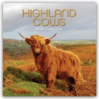 Abbildung von: Highland Cows - Hochland-Kühe - Hochlandrinder 2026 - 16-Monatskalender - Brown Trout-Auslieferer Flechsig