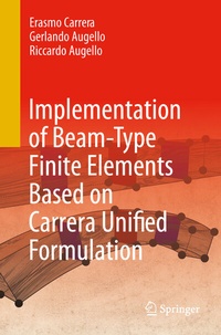 Abbildung von: Implementation of Beam-Type Finite Elements Based on Carrera Unified Formulation - Springer