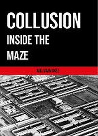 Abbildung von: Collusion Inside the Maze - Williammckeebooks.com