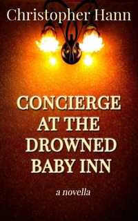 Enlarge image Cover: Concierge at the Drowned Baby Inn - Lvp Publications